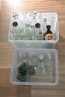 Photo of free Collection of Glass Bottles of different Sizes and Shapes:HOLDER #1