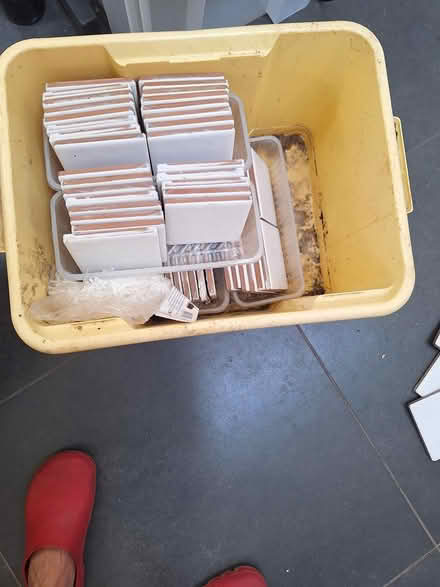 Photo of free Wall Tiles (WA16 Marthall) #2