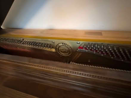 Photo of free Charles Frederick Stein Piano (Titusville / Country Club Dr.) #2