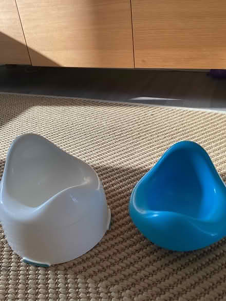 Photo of free Potty (Brockley SE4) #1