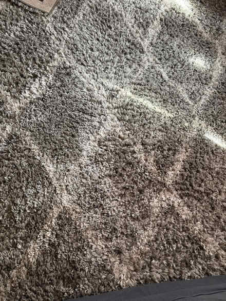 Photo of free Rug 6x9 (Rego Park) #2