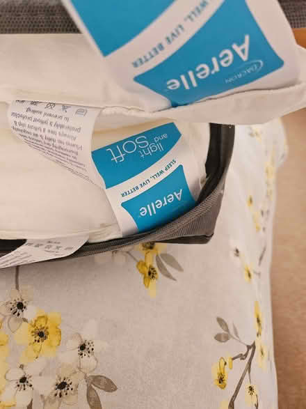 Photo of free Pair of pillows (Llansantffraid SY22) #2