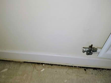 Photo of free Skirting boards (Commonside Rd) #1