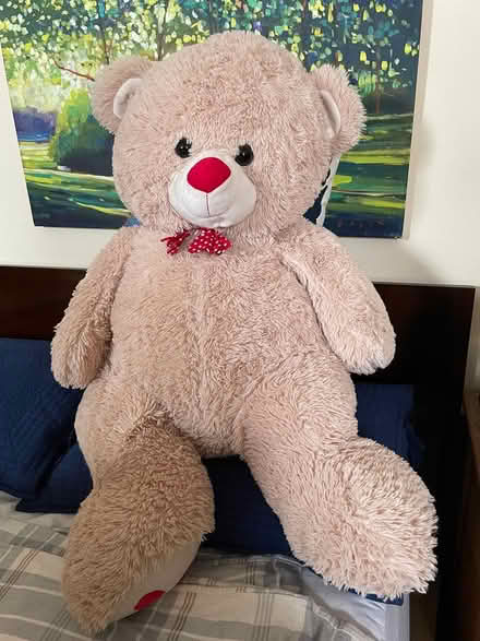 Photo of free XL Teddy Bear (Upper westside) #1
