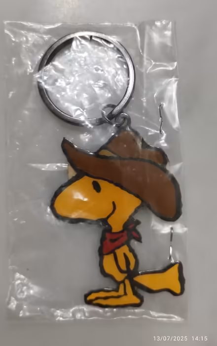 Photo of free Assorted keychains (Tpy) #1