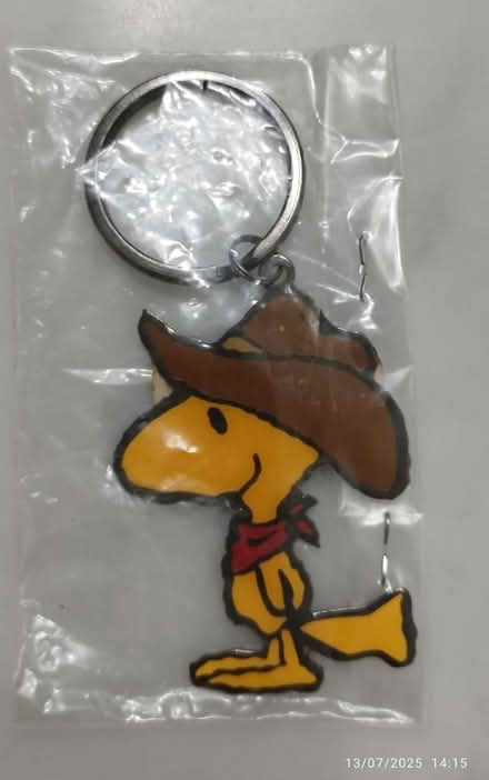 Photo of free Assorted keychains (Tpy) #1