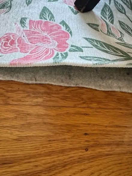 Photo of free Area Rug 8x10 (Lake Merritt) #3