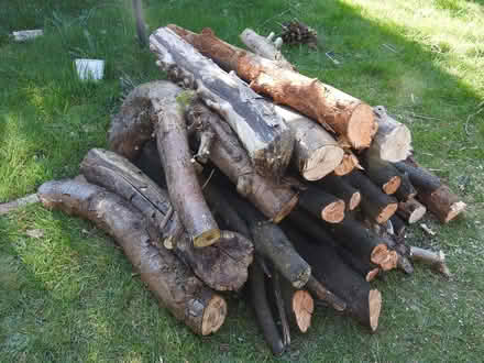 Photo of free Small pile of logs (Fulwood PR2) #1