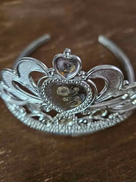 Photo of free Used plastic tiara (Near the experimental farm) #2