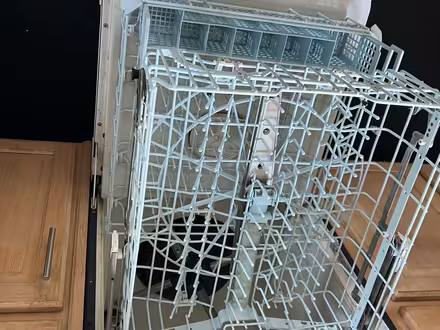 Photo of free KitchenAid dishwasher (Planterra Ridge subdivision) #3