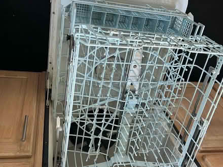 Photo of free KitchenAid dishwasher (Planterra Ridge subdivision) #3
