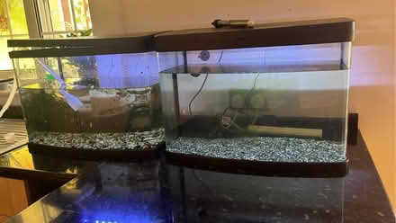 Photo of free fish tanks 60 ltr (Slade Green DA8) #2