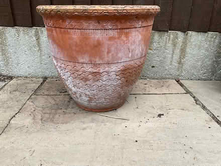Photo of free Large Terracotta Flower Pot (Hertford SG14) #2