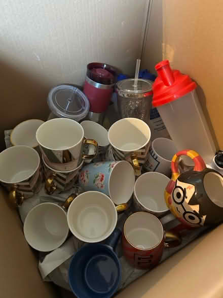 Photo of free Cups (WA2) #1