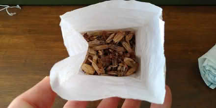Photo of free Gardening "raincape" + seeds (Tulse Hill SW16) #1