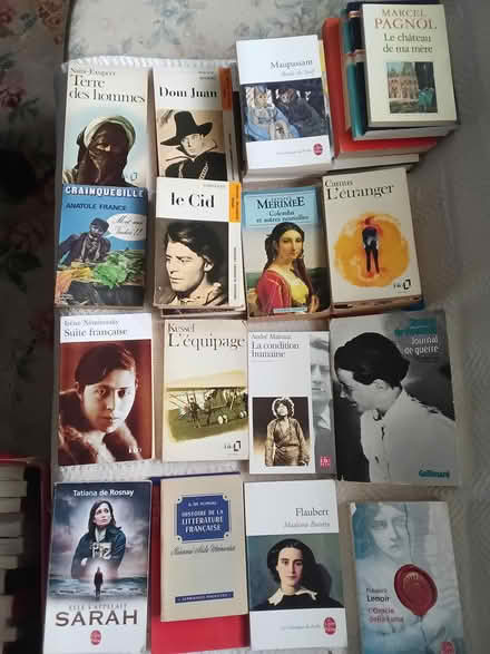 Photo of free Books by French authors (Crawley RH10) #1