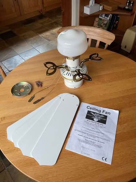 Photo of free Ceiling fan with light, white (Cudham TN14) #1