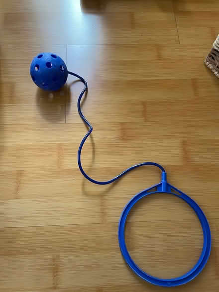 Photo of free Skip Ball / Swing Ball (Sunnyvale (Wolfe)) #1