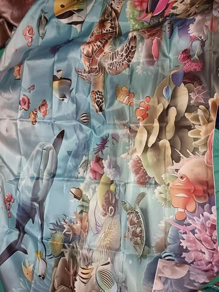 Photo of free Sea Animal Pics And Birthday Banner (Deepdale, Preston PR1) #3