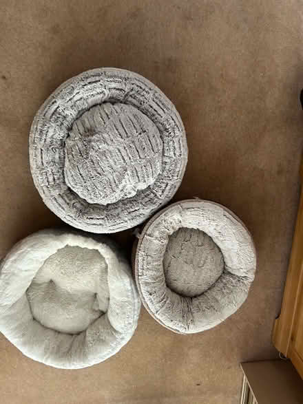 Photo of free 3 x Cat Beds (Willaston CH64) #1