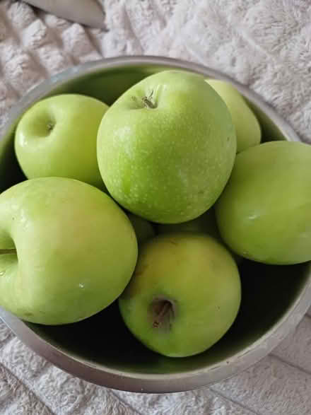 Photo of free Green apples (Malvern Link WR14) #1