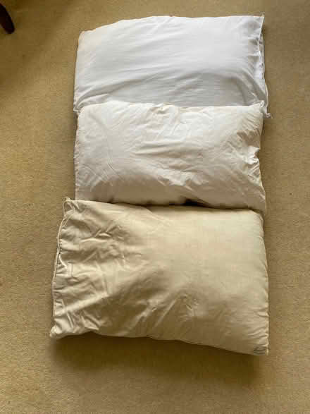 Photo of free 3x Pillows Assorted (Wandsworth Common SW12) #1