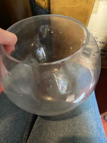 Photo of free bowl vase (North fort st EH6) #1