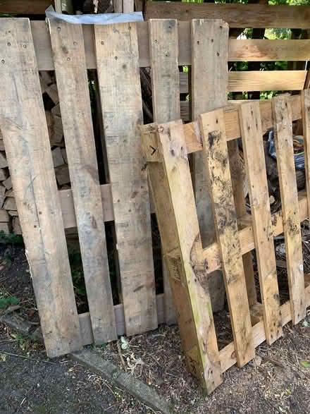 Photo of free Pallets (BA2) #1
