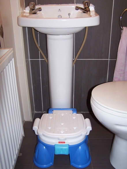 Photo of free Stepstool Potty (Douglas, cork) #4