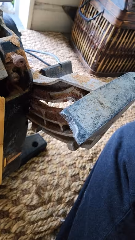 Photo of free Band saw (Maple Leaf) #4