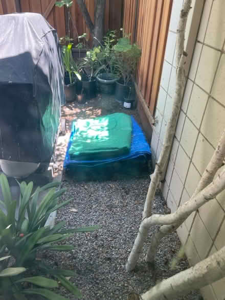 Photo of free 2 tarps (Santa Clara) #1