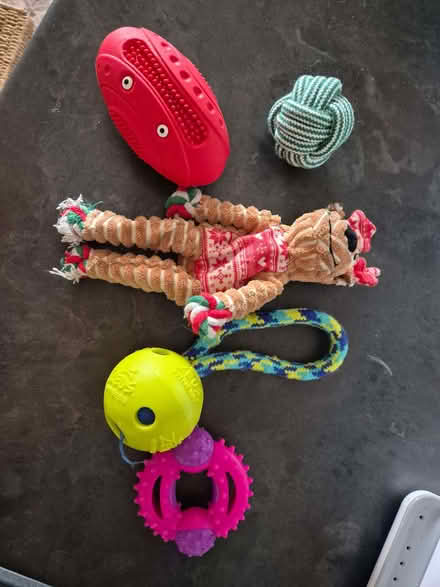Photo of free Dog toys (Minster Lovell OX29) #1
