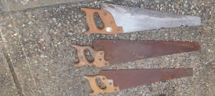 Photo of free Old saws (TN40 bexhill) #1