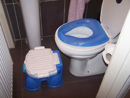Photo of free Stepstool Potty (Douglas, cork) #3