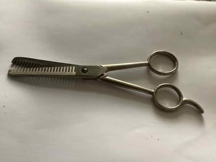 Photo of free Hair thinning scissors (Morecambe LA4) #1
