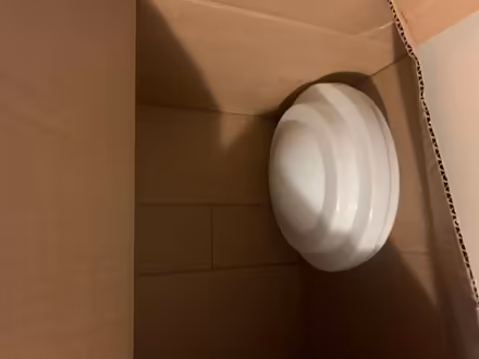 Photo of free 2 Hunter Fans/lites Partly Working (Bethesda, near River Rd/Wilson) #3