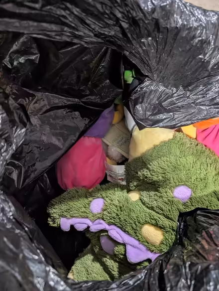 Photo of free stuffed animals (Hopewell Junction) #1