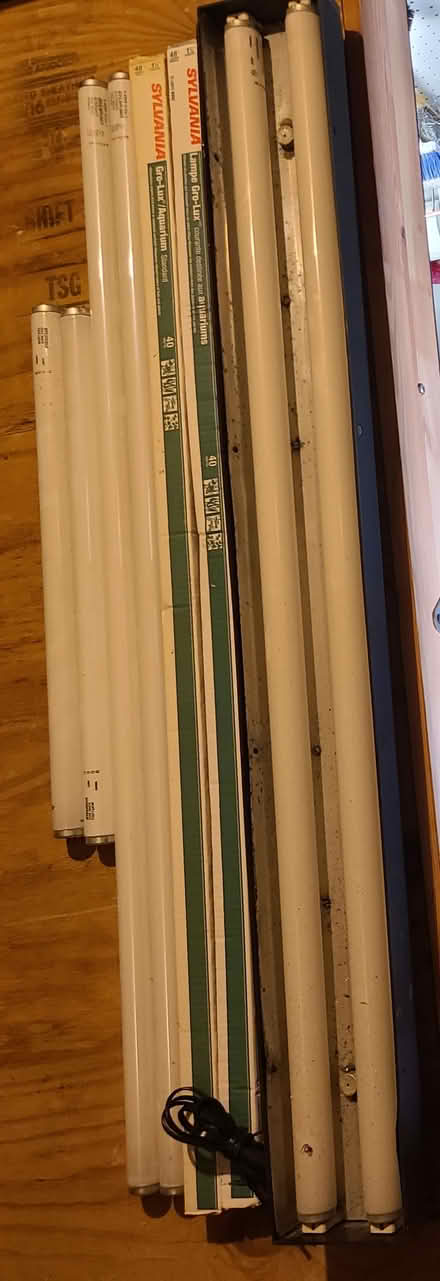 Photo of free Florescent light bulbs (Allen near central) #1