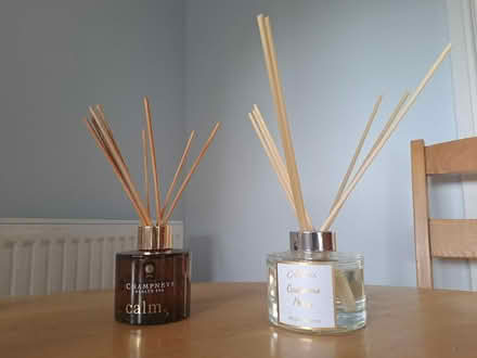 Photo of free Two room fragrance diffusers (Battle TN33) #1