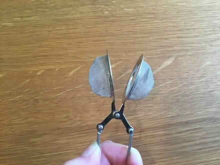 Photo of free Tea Strainer (Berkhamsted HP4) #4