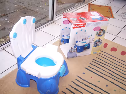 Photo of free Stepstool Potty (Douglas, cork) #2