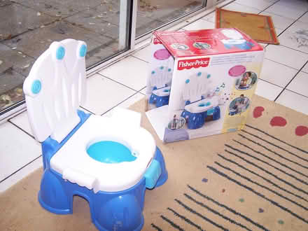 Photo of free Stepstool Potty (Douglas, cork) #2