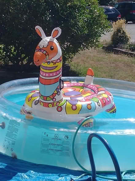 Photo of free Pool filter, electric (Lynnwood) #1