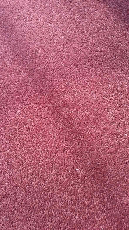 Photo of free Carpet Remnant - Brand New Wool (Dorking (near Cock Roundabout)) #4