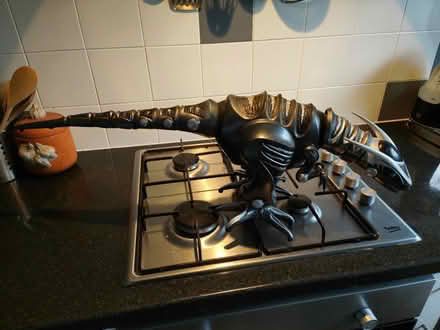 Photo of free Large Dino robot (Frome BA11) #1