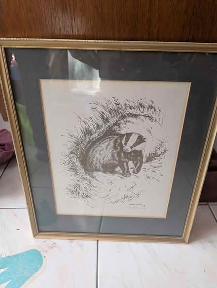 Photo of free Framed badger print (Rowlands Gill NE39) #1