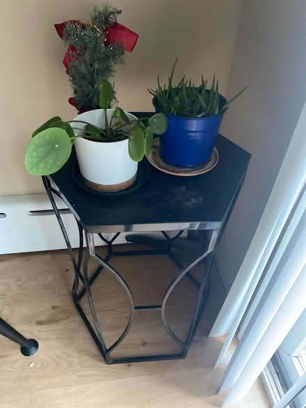 Photo of free Plant stand (plants not included) (Floral park NY) #1