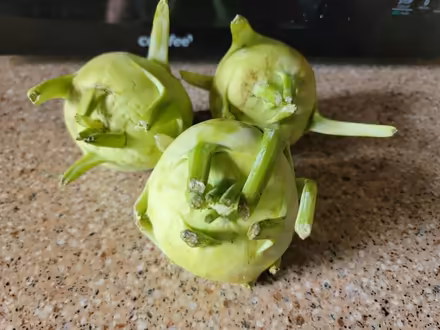 Photo of free 3 kohlrabi (West 7th) #1