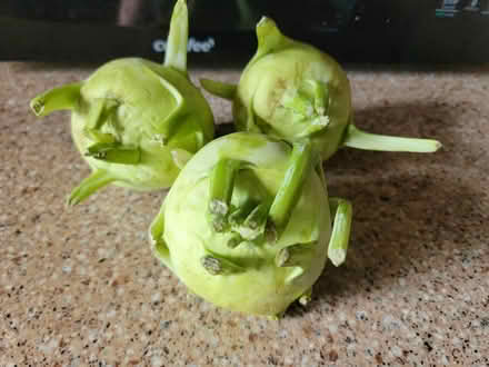 Photo of free 3 kohlrabi (West 7th) #1