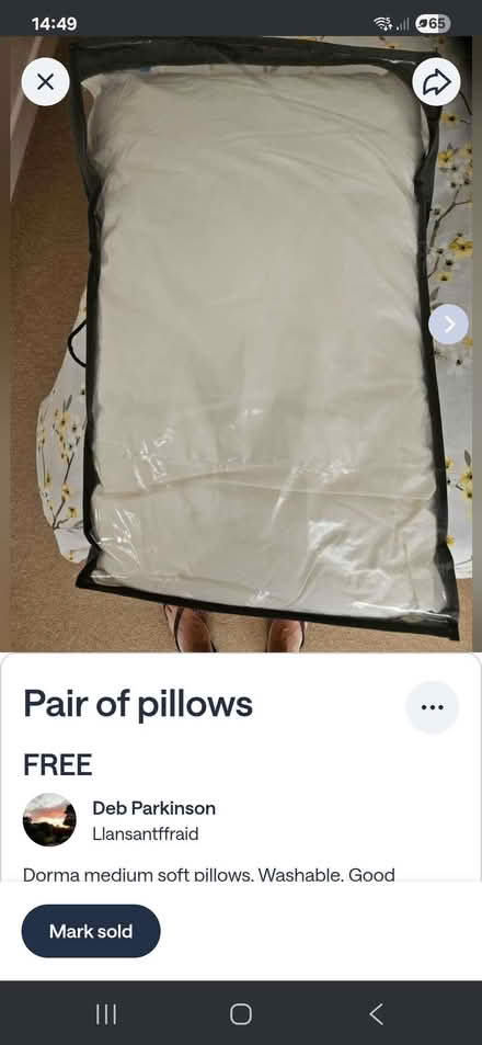 Photo of free Pair of pillows (Llansantffraid SY22) #1